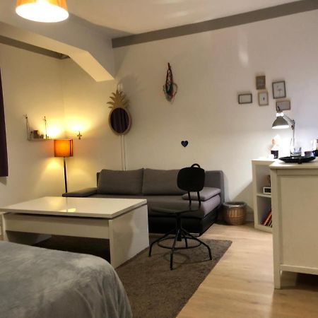 Chambre Independante Aux Pied Des Pyrenees Billere Екстериор снимка