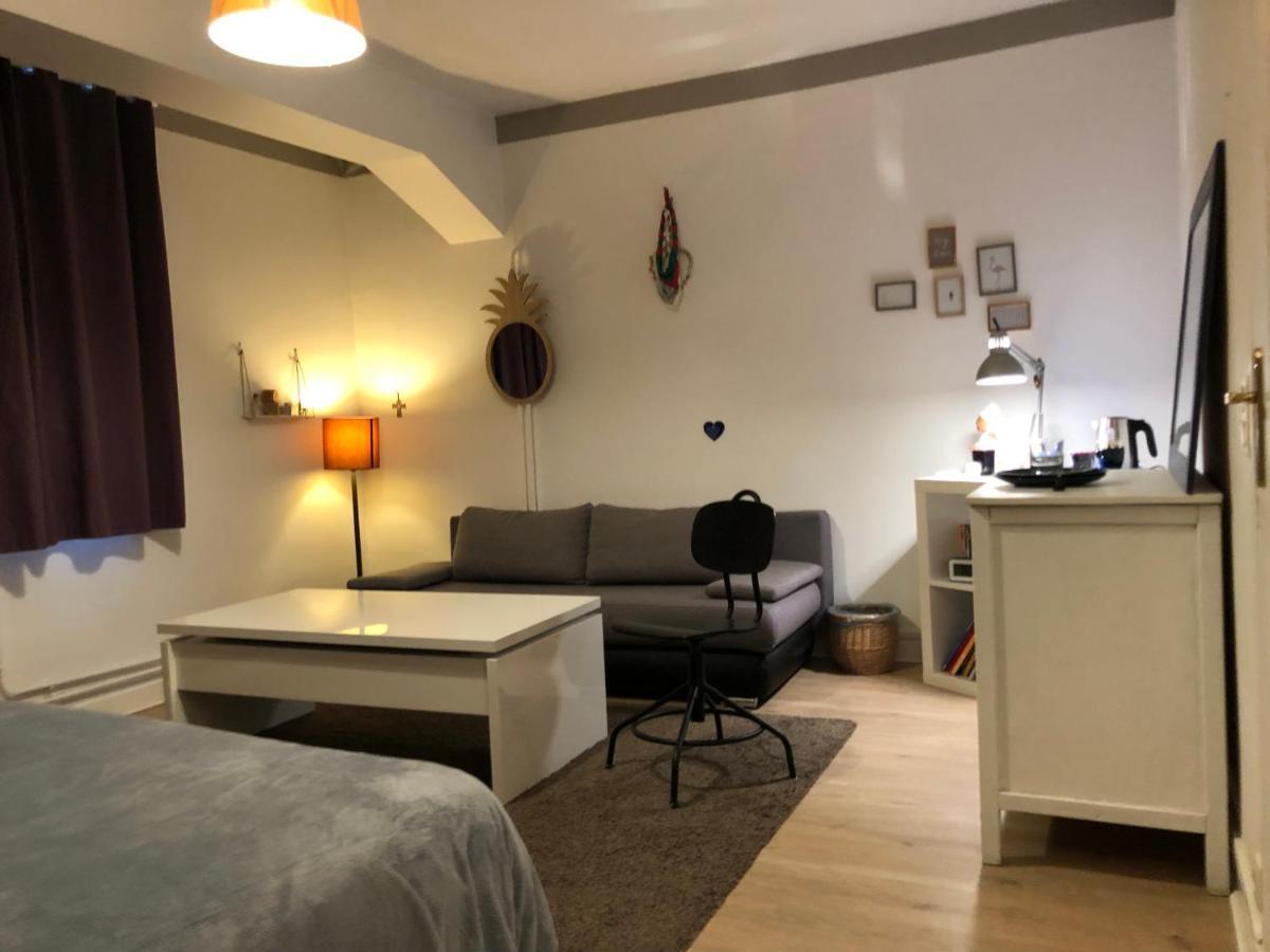 Chambre Independante Aux Pied Des Pyrenees Billere Екстериор снимка